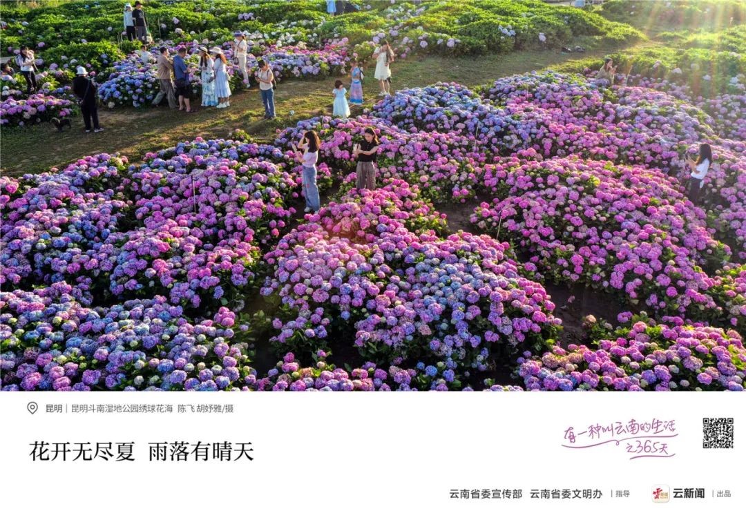 &#26143;&#31354;&#97;&#112;&#112;&#30331;&#24405;&#20837;&#21475;&#45;&#26143;&#31354;&#40;&#20013;&#22269;&#41;